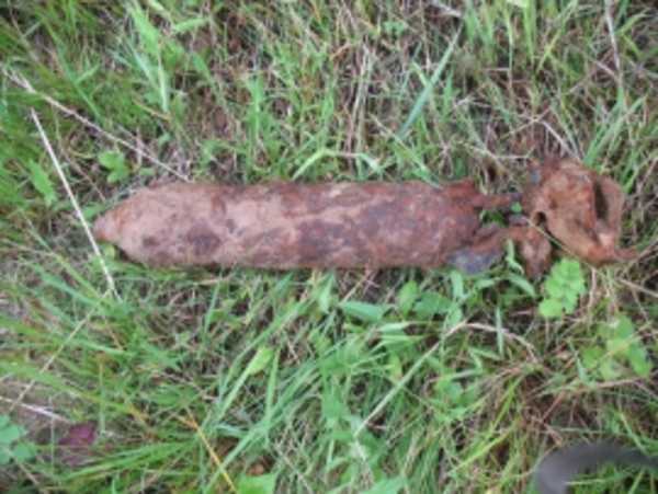 В лесу под Дубровкой нашли артиллерийский снаряд