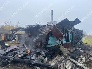 В посёлке Жеча Стародубского района сгорел человек