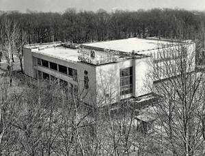 Брянцам показали фото бывшего дворца «Юность» в Бежице