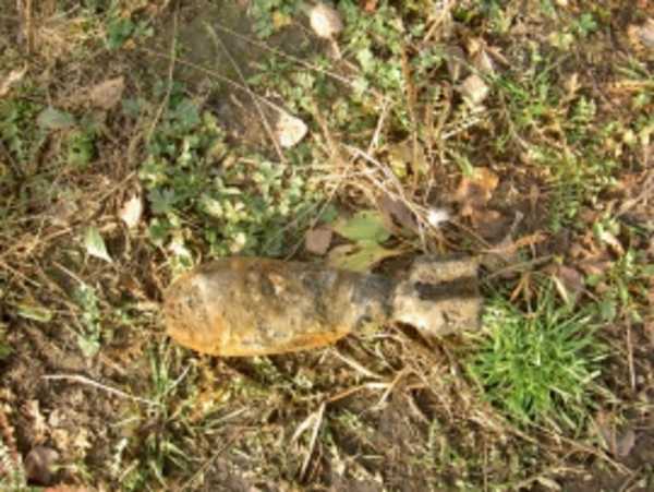 В поле под Дубровкой нашли ржавые боеприпасы