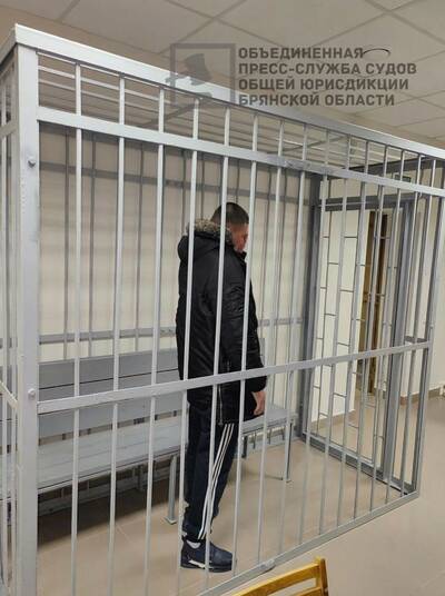 В Брянской области осудили мигранта, нападавшего с ножом на женщин