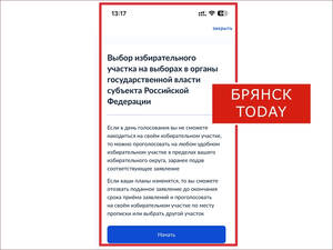 Брянцев начали зазывать на выборы через «Госуслуги»