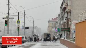 К полудню на брянские трассы выведут 240 единиц дорожной спецтехники