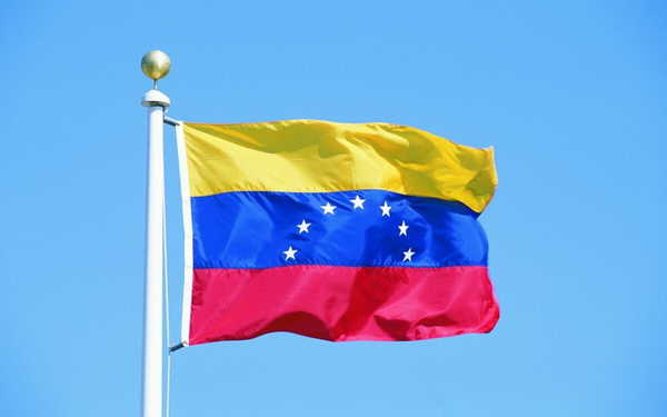 Брянскую область в мае посетит делегация из Венесуэлы 