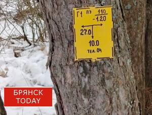 С 1 мая приостановят поставки нефти через Брянск в Германию