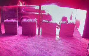 В Брянске задержали поджигателя иномарки 