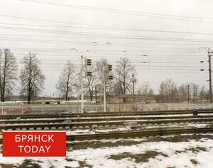 В Брянске опубликовали архивное дело о расстреле машиниста-вредителя Шешени