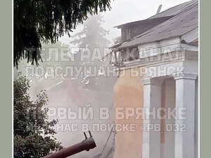 В Мичуринском под Брянском за несколько дней разобрали ДК