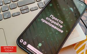 Брянцев предупредили о мошенничестве с новой «семейной выплатой»