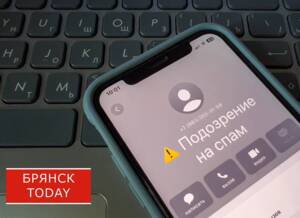 Мошенники убедили брянца взять кредит на 195 тысяч