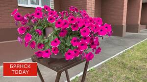 Юбилей главного магазина Клинцов ЦУМ отмечает 50 лет со дня открытия