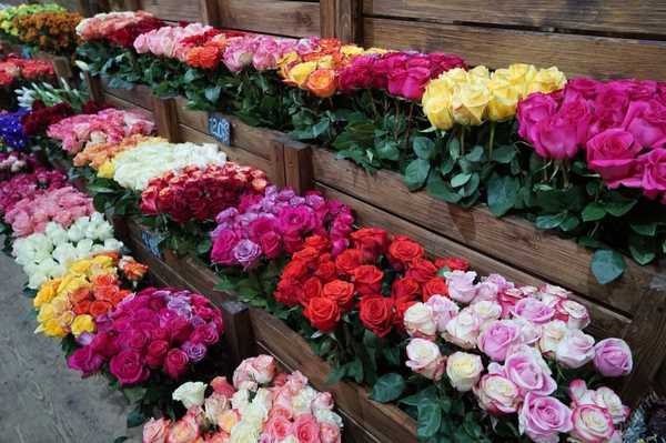  Брянская лаборатория забраковала 480 роз из Кении и Эквадора