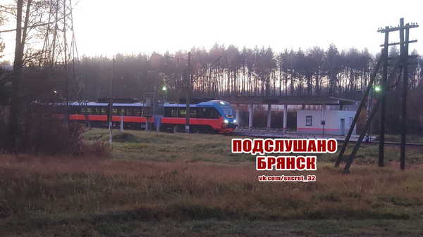В Брянске заметили рельсовый автобус РА-3