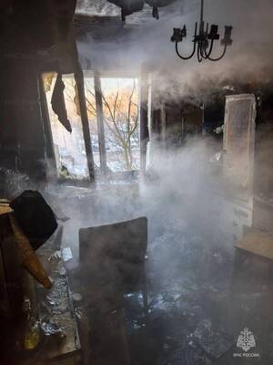 В Брянской области за сутки потушили пять пожаров