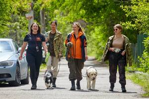 В Брянской области Билайн помогает искать потерявшихся людей с помощью новых технологий
