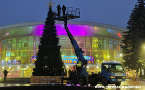 В Брянске нарядили ёлку для слона и бегемота