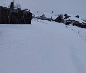 В Брянске управляющие компании проиграли битву со снегом