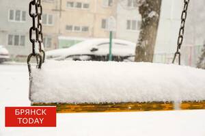 В Брянской области для уборки снега задействовали 283 единицы техники