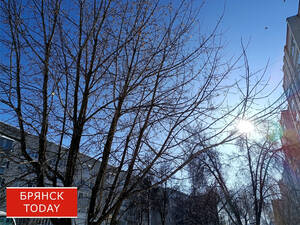 Беспилотная опасность на Брянщине сохранялась более 13 часов