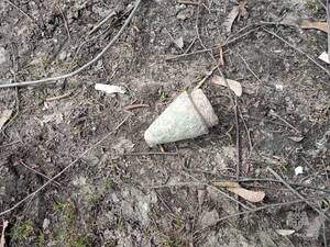 Сапёры предотвратили взрыв в Карачевском районе