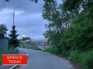 Движение на двух переездах в Брянской области будет временно ограничено