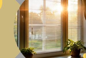 В Брянске разгорелся скандал из-за фото на Wildberries