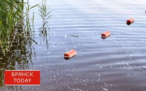 Трагедия в Скрябино: водолазы нашли тело мужчины в карьере