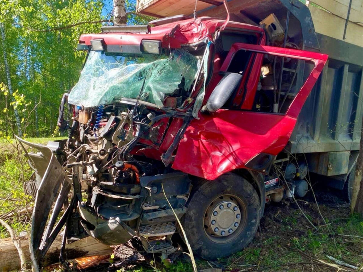 Под Суражом водитель грузовика вылетел в кювет и врезался в дерево