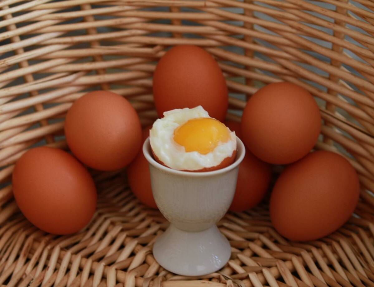 Брянская область куплю яйцо. Яйца всмятку. Удобное яйцо. Яйцо диетическое и столовое. Яйцо Свердловское.