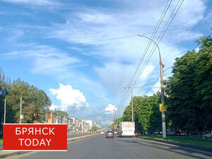 До +30 градусов пообещали жителям Брянщины в воскресенье