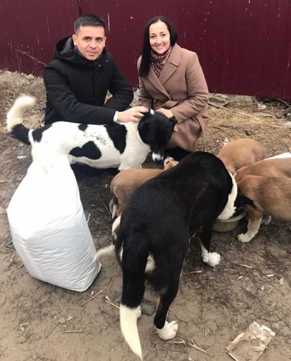 Депутаты Брянского горсовета помогли щенкам