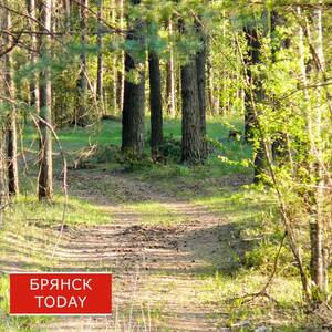 На Брянщине 25 июля открывается сезон охоты