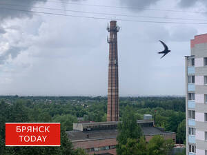 Брянскую область накроет североатлантический циклон с дождями