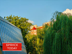 Выглядывает