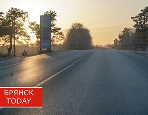 Жителей брянского приграничья попросили не ездить на личных авто из-за атак ВСУ