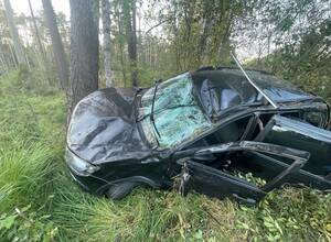 В Брянской области разыскивают свидетелей серьёзного ДТП под Навлей