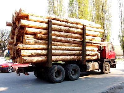 Под Навлей рабочий украл 45 кубометров древесины