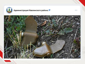 В Навле после сброса взрывных устройств оцепили опасные участки