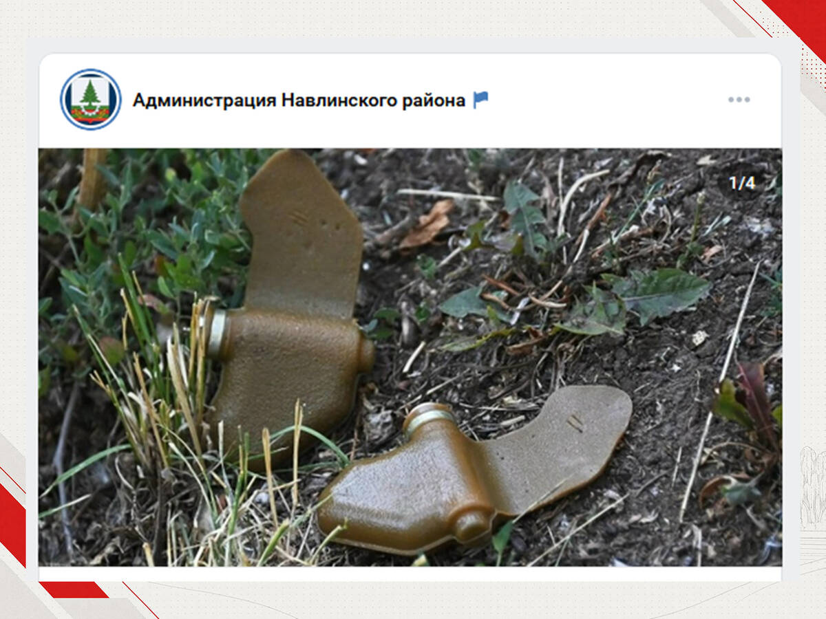 В Навле после сброса взрывных устройств оцепили опасные участки