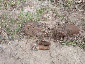 Авиабомбы обнаружили в двух районах Брянской области