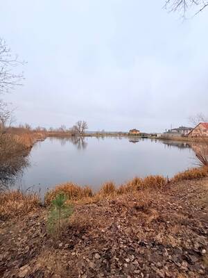 Жители Приозерного сообщили о химической пене в местном озере 