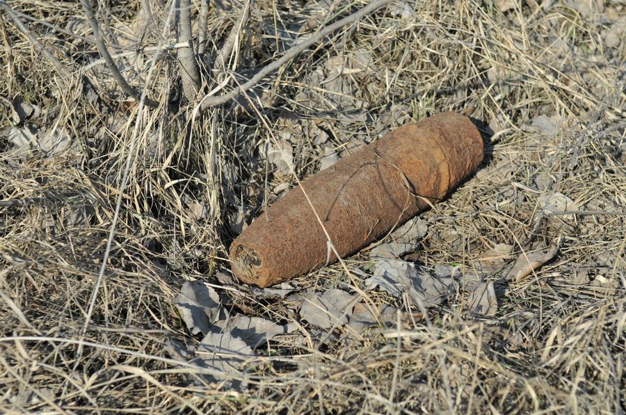 В поле под Выгоничами нашли артиллерийский снаряд