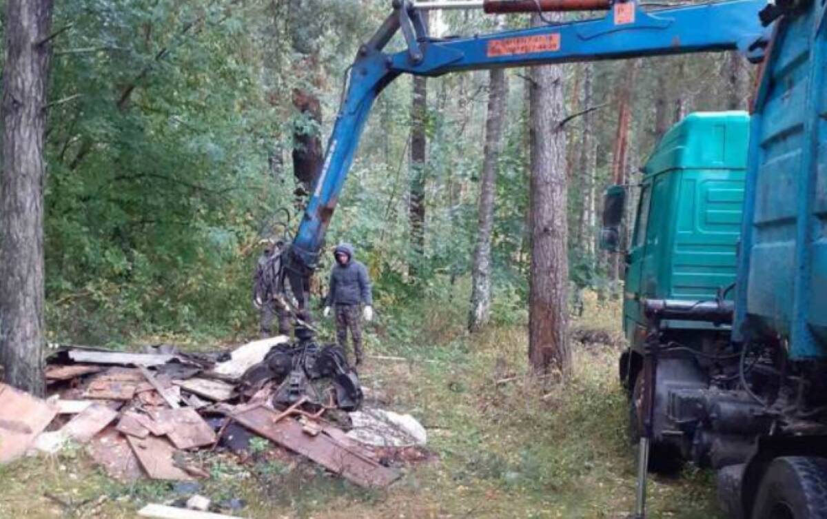 Возле поселка Белые Берега убрали свалки в лесу | 24.09.2022 | Брянск -  БезФормата