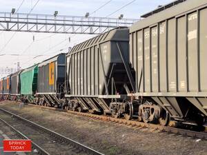 Погрузка зерна на железной дороге в Брянской области выросла на 20%