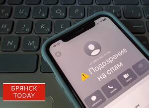 Мошенники развели жителя Трубчевского района при съеме жилья