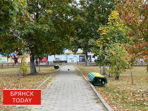 Два погодных предупреждения объявили брянцам синоптики
