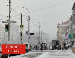 Синоптики дали «ледяной» прогноз на выходные в Брянской области
