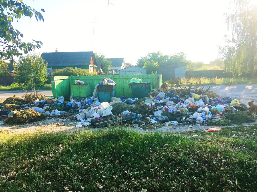 В брянском посёлке Навля произошла мусорная катастрофа 