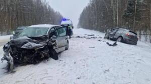 Пожилая автоледи спровоцировала серьезное ДТП под Навлей