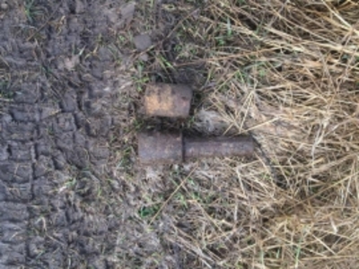 В Стародубском районе нашли гранаты времён войны